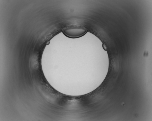 X0000114010312200911131210
