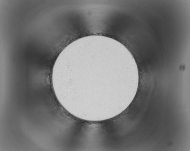 X0000114010313200911131210