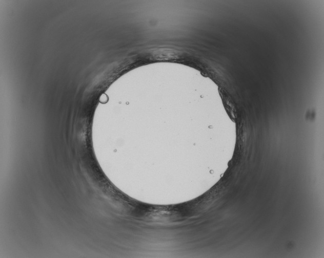 X0000114010315200911131210