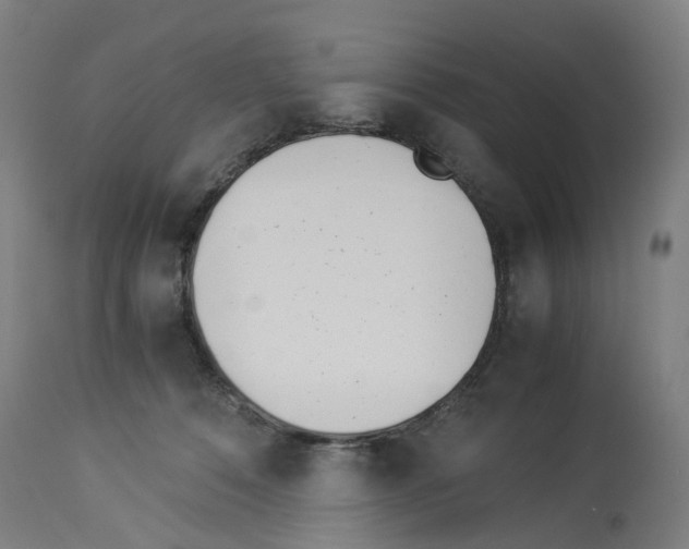 X0000114010320200911131210
