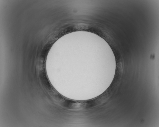 X0000114010323200911131210