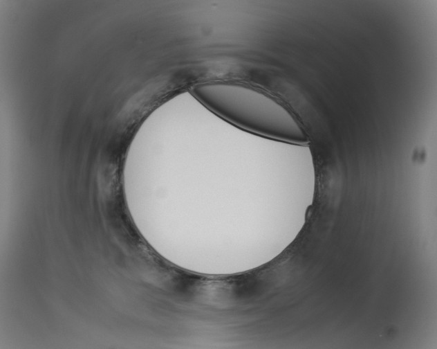 X0000114010327200911131210
