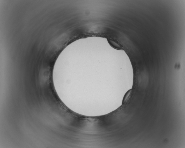 X0000114010328200911131210