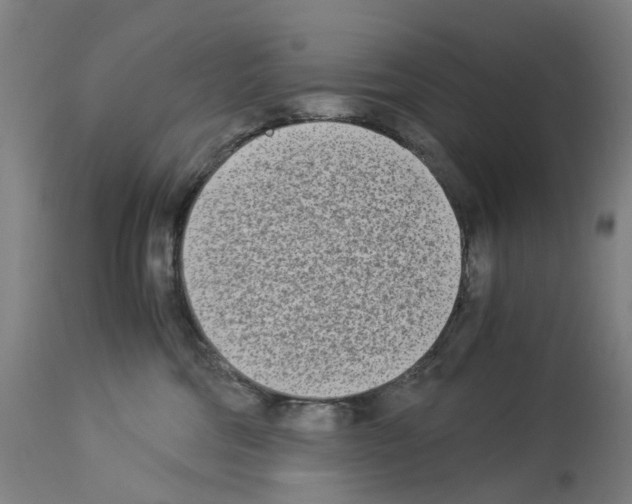 X0000114010330200911131210