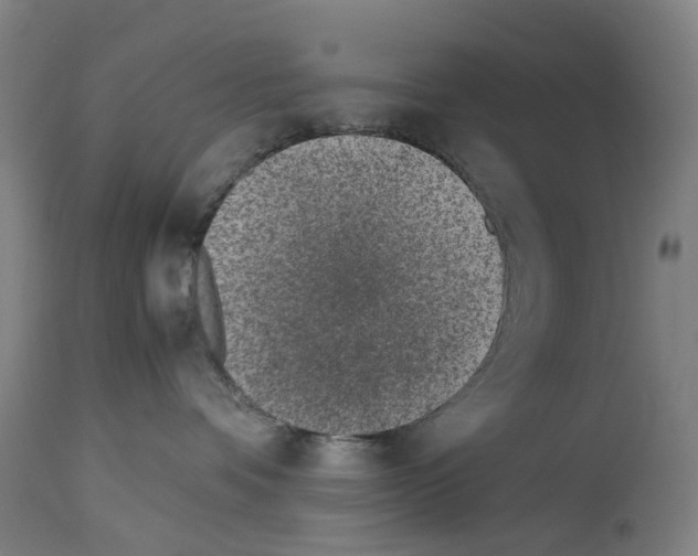 X0000114010336200911131210