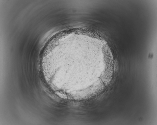 X0000114010339200911131209