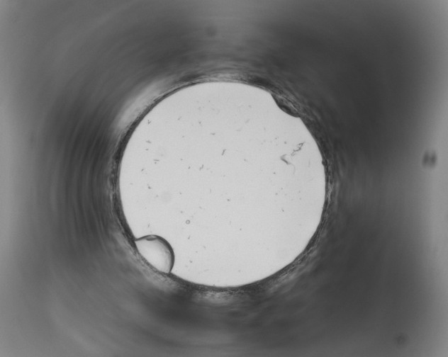 X0000114010341200911131209