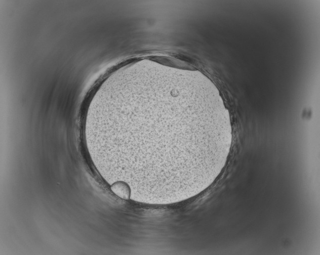 X0000114010342200911131209