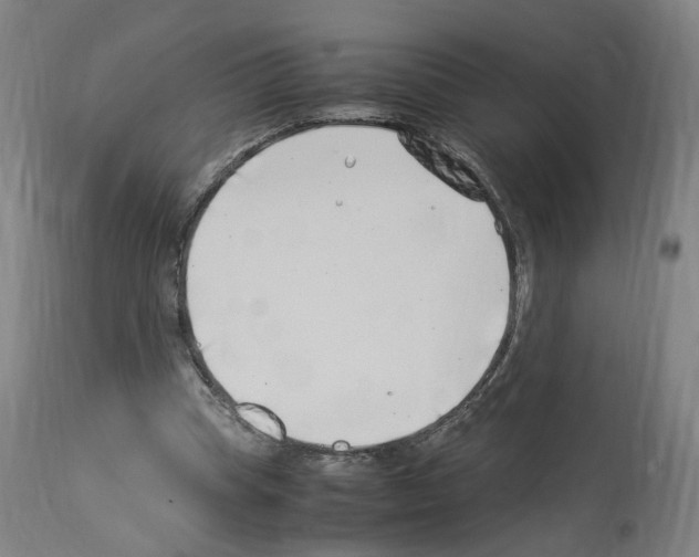 X0000114010345200911131209