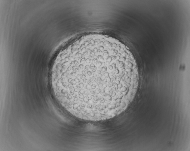 X0000114010346200911131209