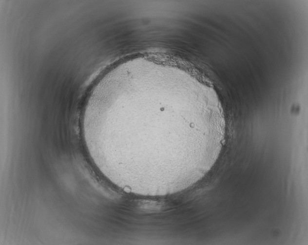X0000114010347200911131209