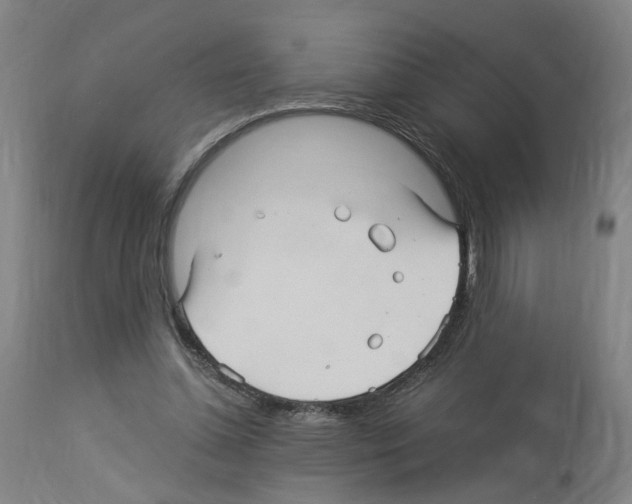 X0000114010348200911131209