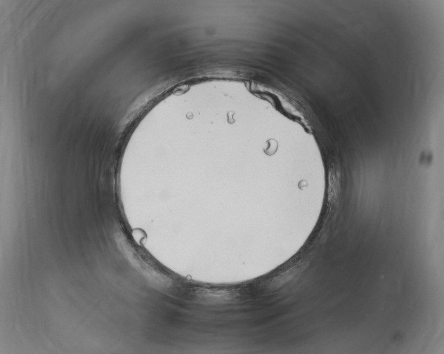X0000114010349200911131209