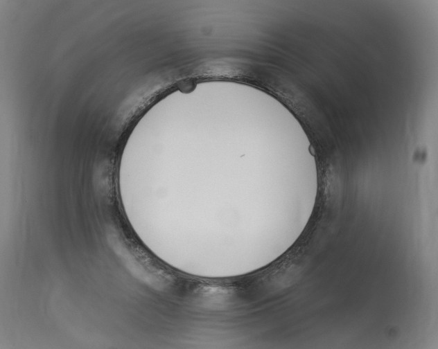 X0000114010352200911131209