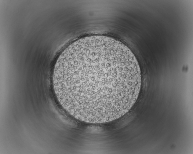 X0000114010354200911131209