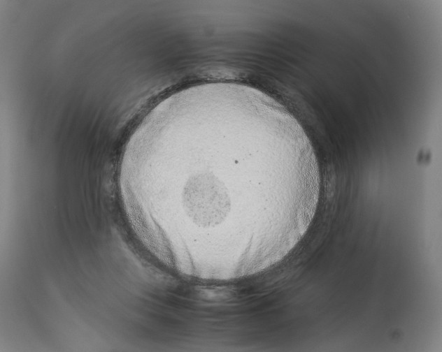X0000114010359200911131209
