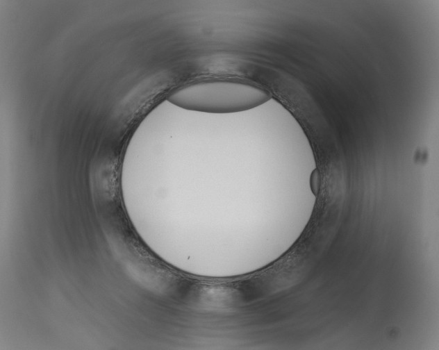 X0000114010360200911131209
