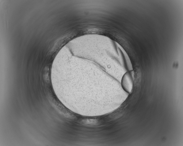 X0000114010361200911131209