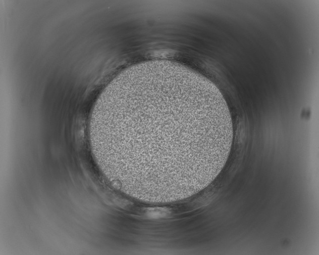 X0000114010363200911131209