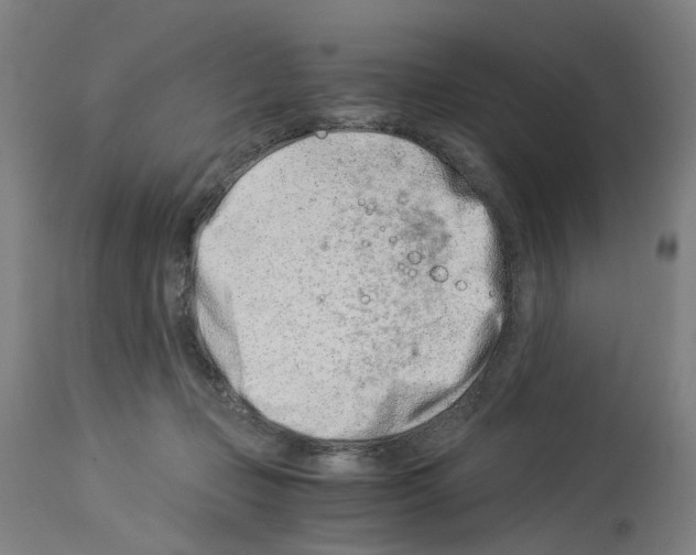 X0000114010365200911131209