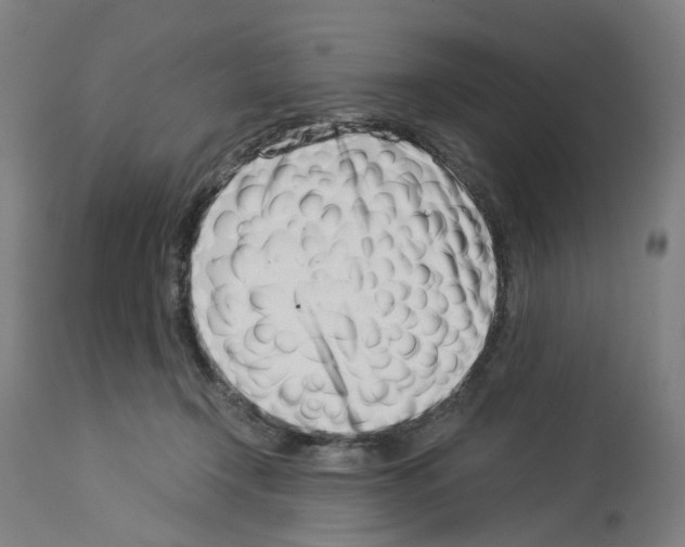 X0000114010366200911131210