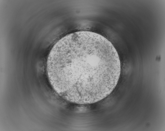 X0000114010370200911131210