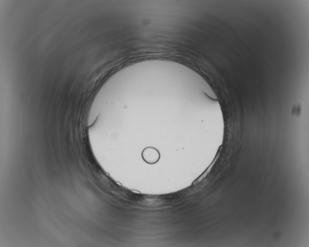 X0000114010376200911131210