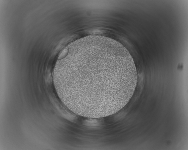 X0000114010381200911131210