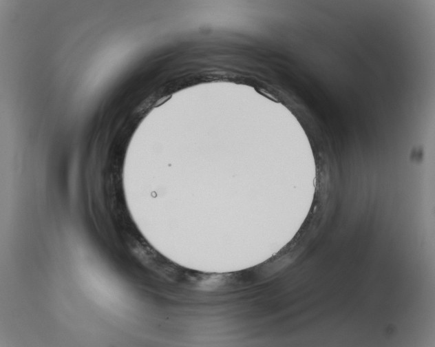 X0000114010382200911131210