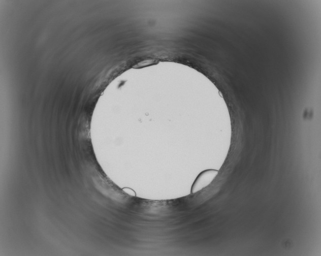 X0000114010384200911131210