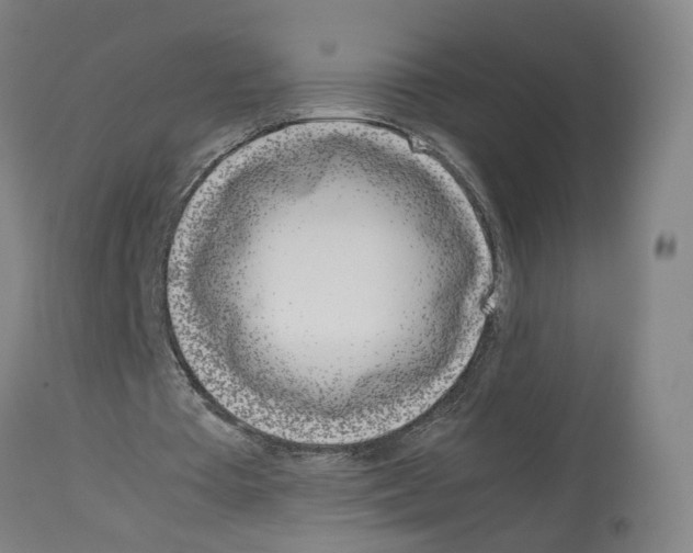 X0000114010385200911131209