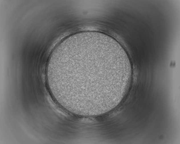 X0000114010386200911131209