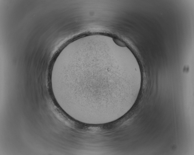 X0000114010391200911131209