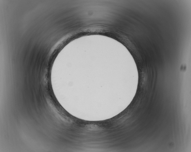 X0000114010392200911131209