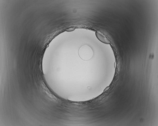 X0000114010393200911131209