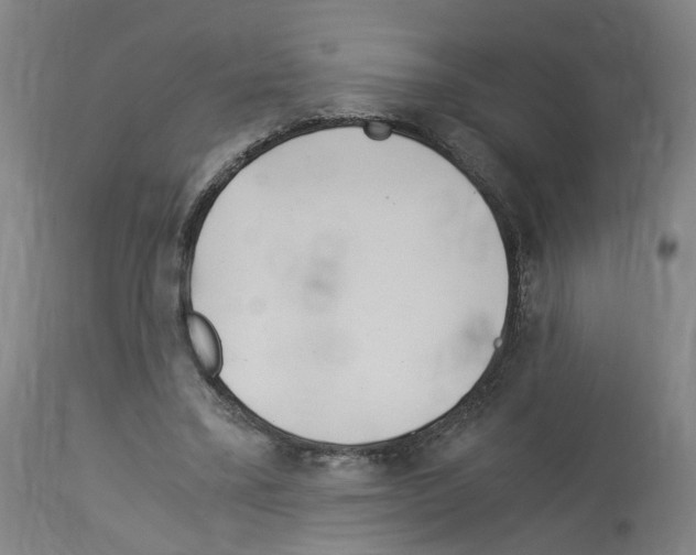 X0000114010395200911131209
