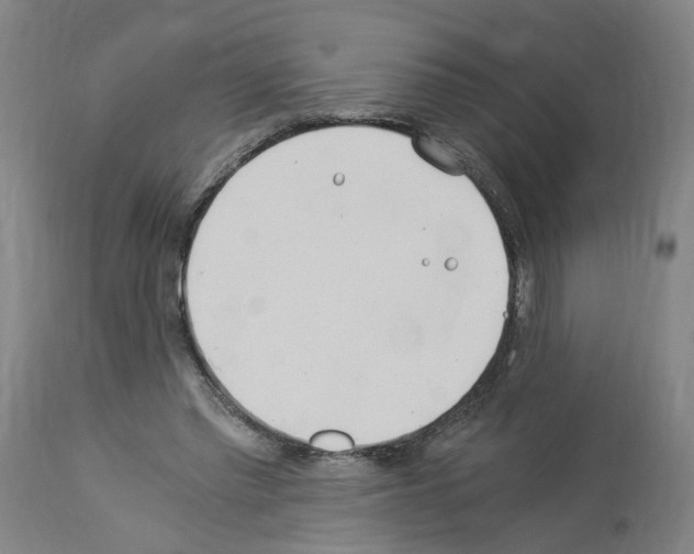 X0000114010397200911131209
