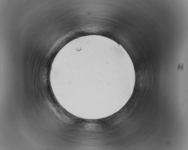 X0000114010400200911131209
