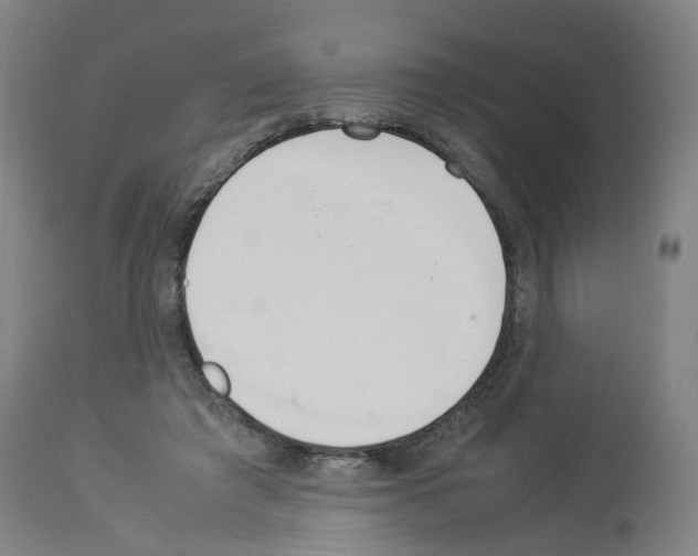 X0000114010401200911131209