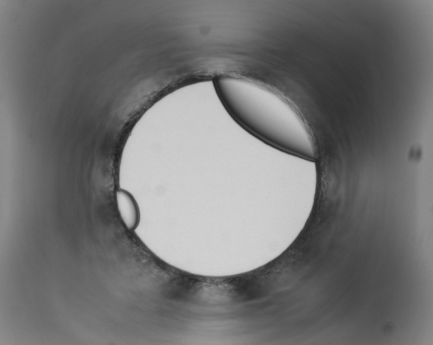 X0000114010403200911131209