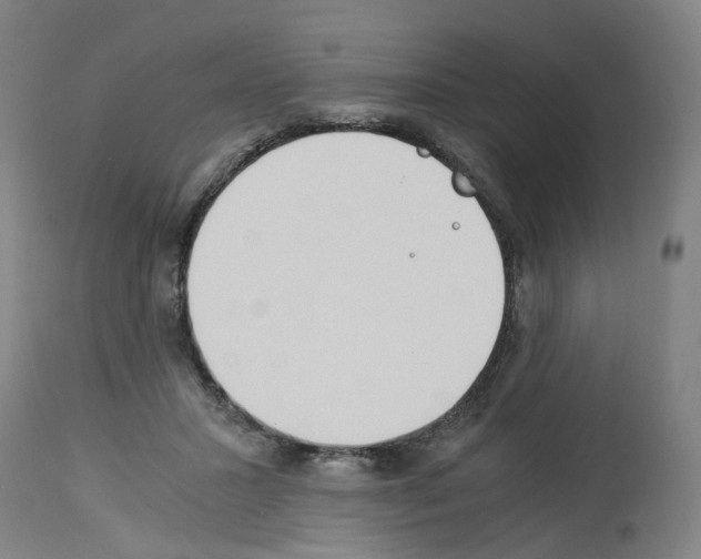 X0000114010407200911131209