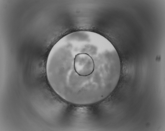 X0000114010411200911131209