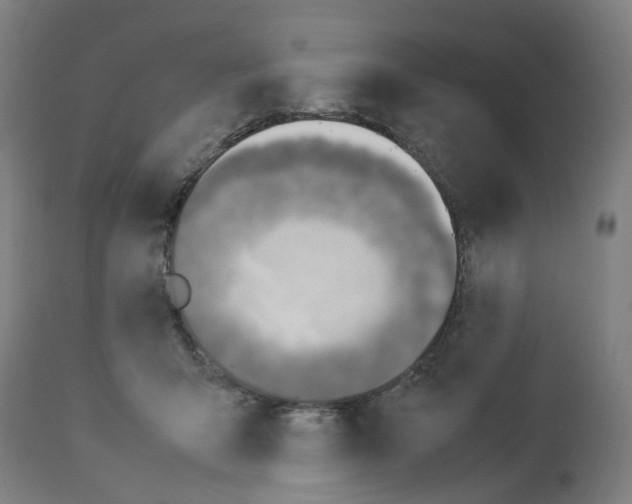 X0000114010415200911131209