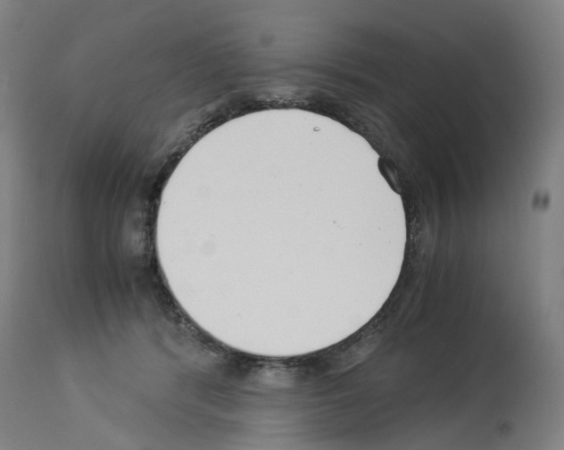 X0000114010416200911131209