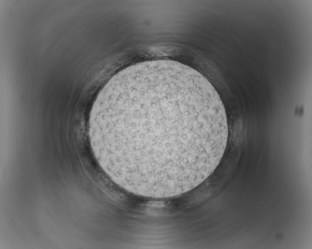 X0000114010418200911131209
