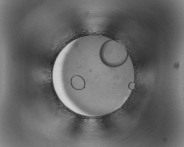 X0000114010419200911131209