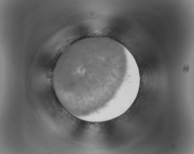 X0000114010423200911131209