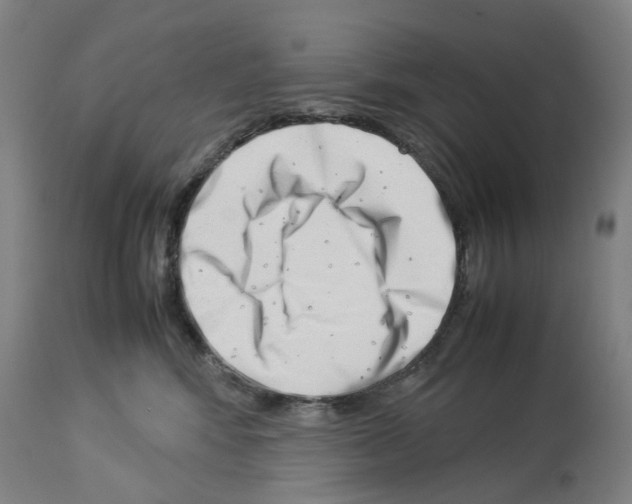 X0000114010424200911131209