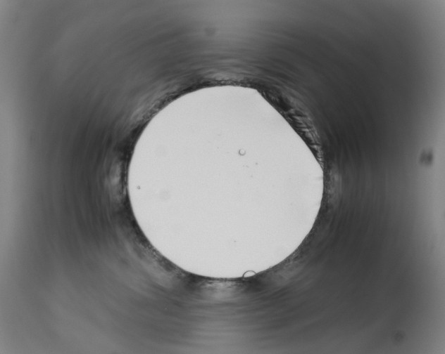 X0000114010428200911131208