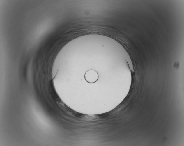 X0000114010429200911131208